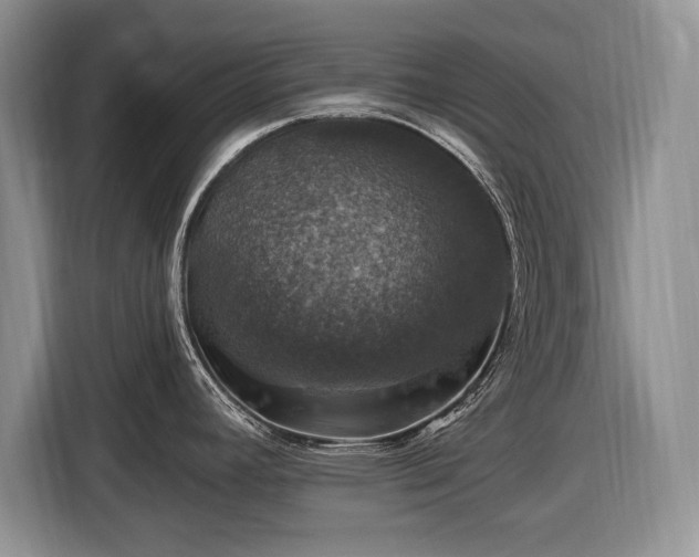 X0000116451392200912151251