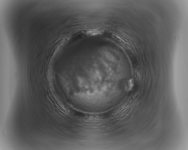X0000116451393200912151251