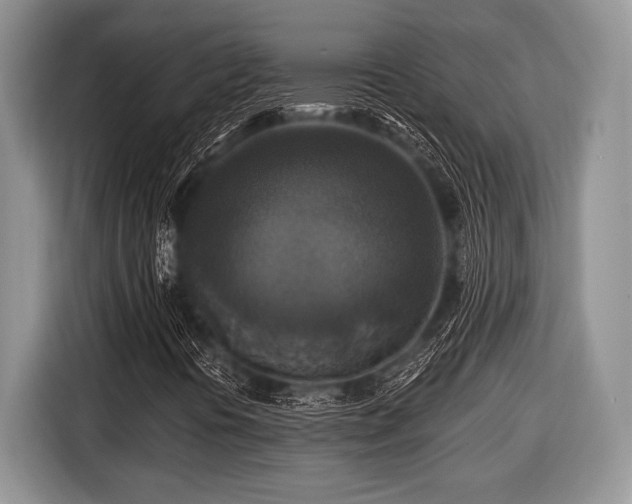 X0000116451394200912151251