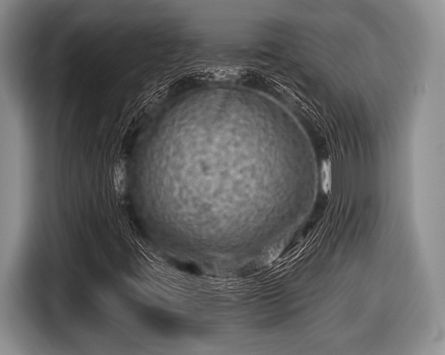 X0000116451395200912151251