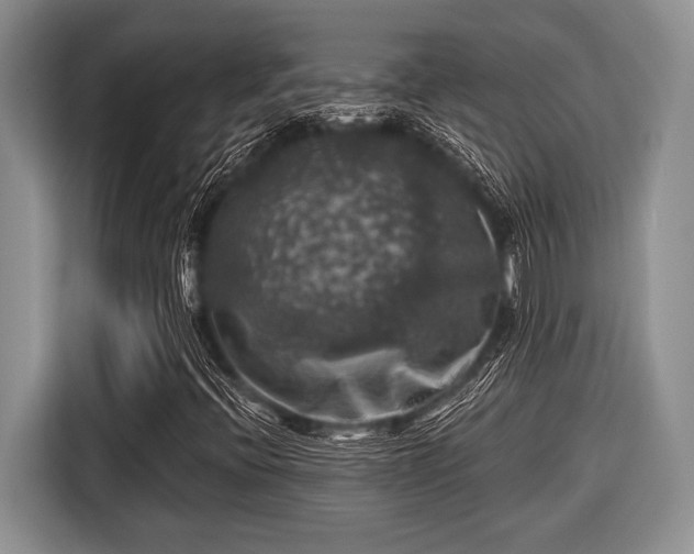 X0000116451396200912151251