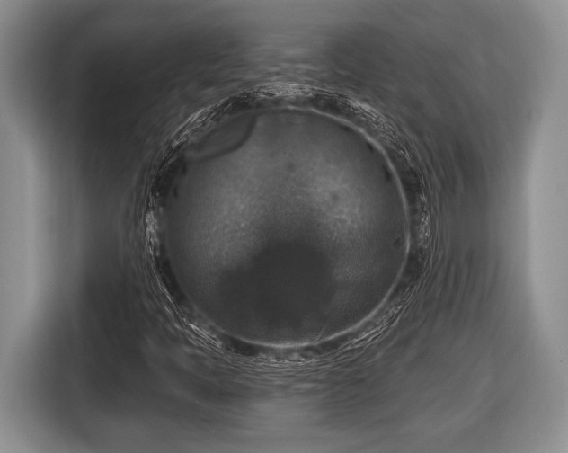 X0000116451397200912151251