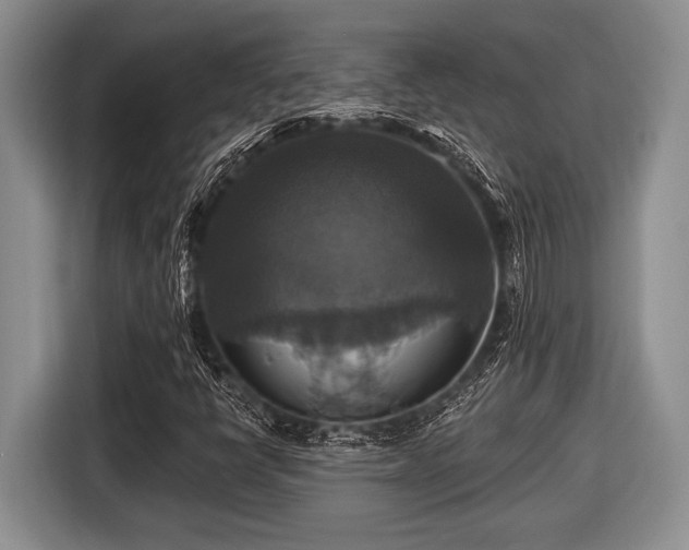 X0000116451398200912151251
