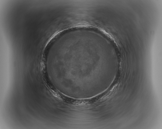 X0000116451400200912151251