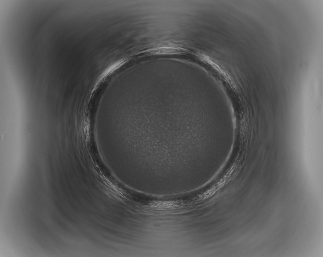 X0000116451402200912151251