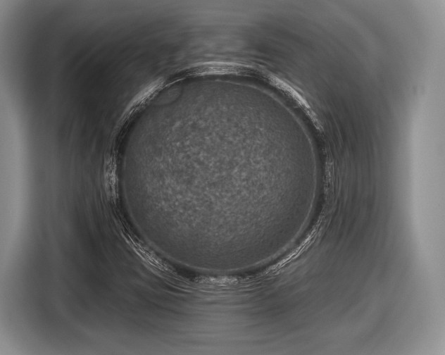 X0000116451403200912151251