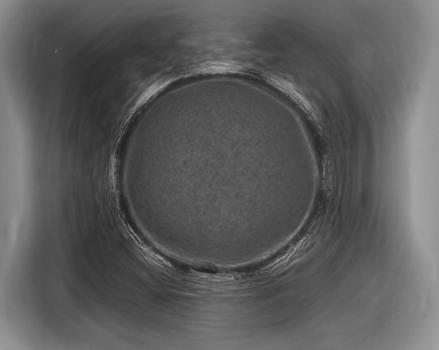 X0000116451404200912151251