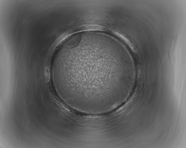 X0000116451407200912151251