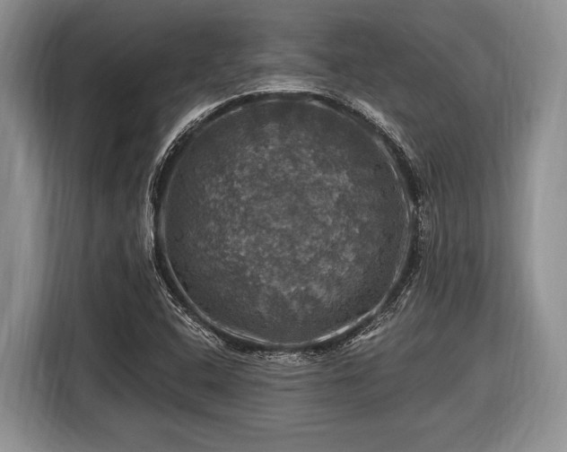 X0000116451408200912151251