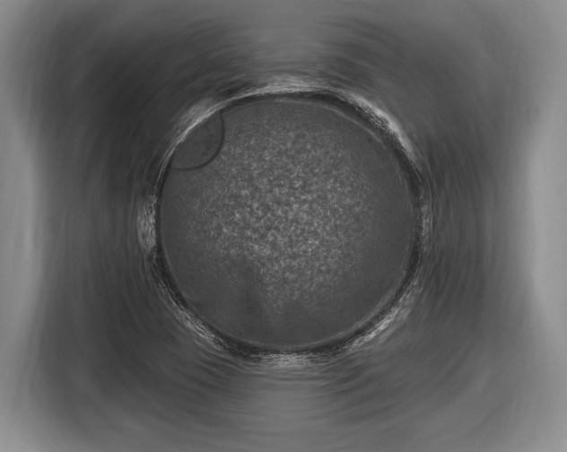 X0000116451409200912151251