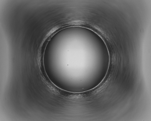 X0000116451410200912151251