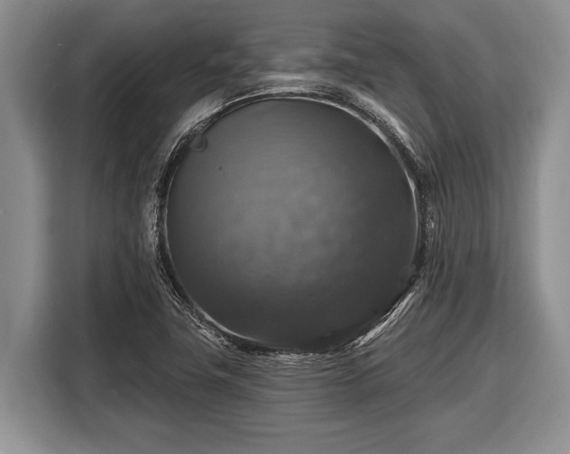 X0000116451411200912151251