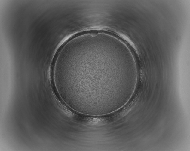 X0000116451412200912151251