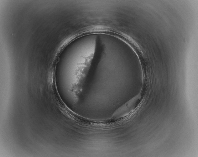 X0000116451413200912151251
