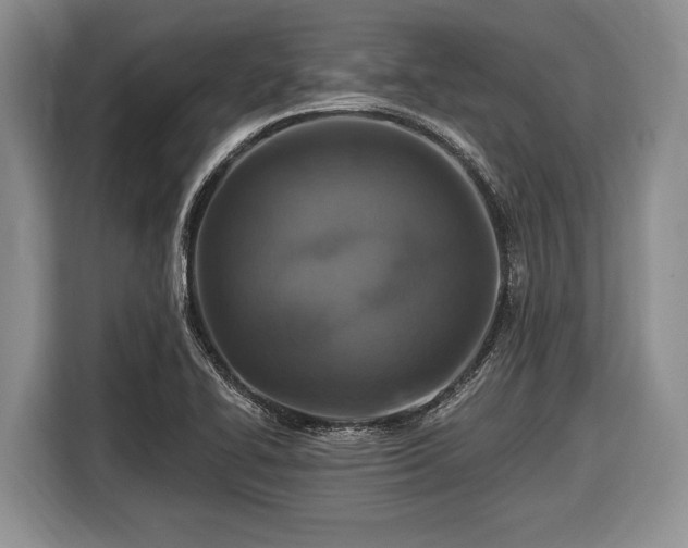 X0000116451414200912151251