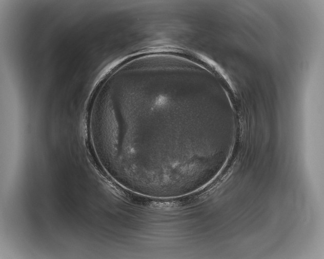 X0000116451415200912151251