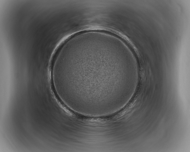 X0000116451416200912151251