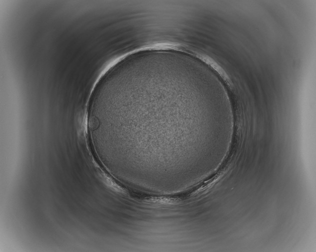 X0000116451420200912151251