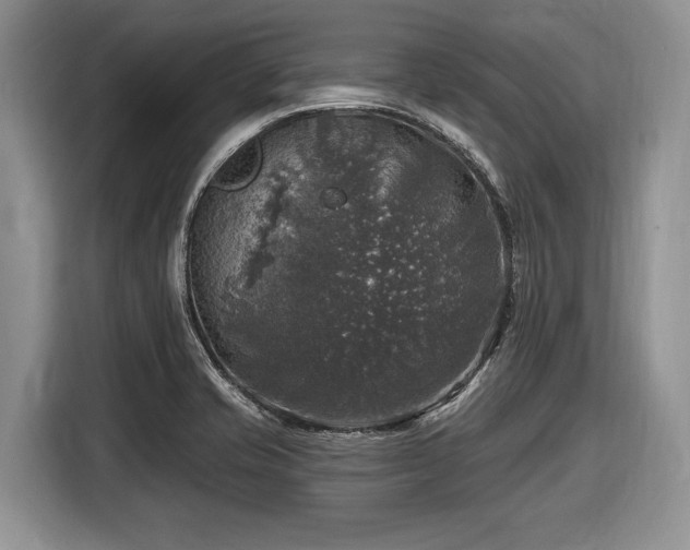 X0000116451421200912151251