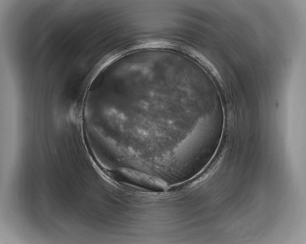 X0000116451425200912151251