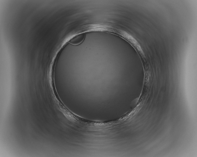 X0000116451427200912151251