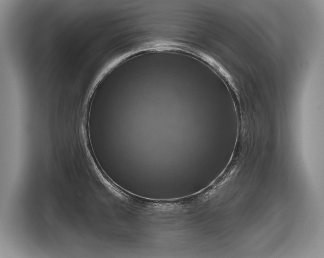 X0000116451429200912151251