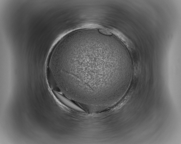 X0000116451430200912151251