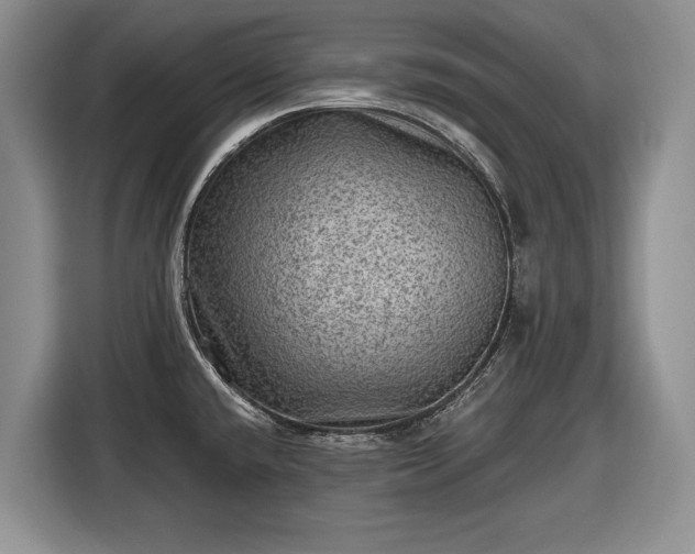 X0000116451432200912151251
