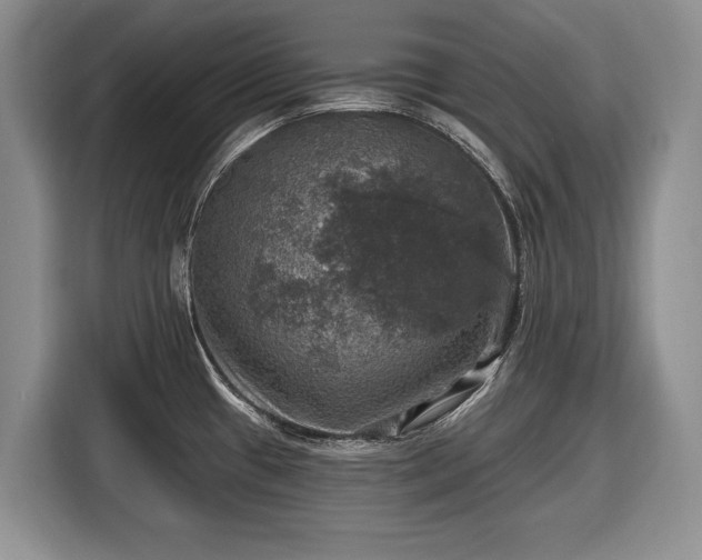 X0000116451433200912151251