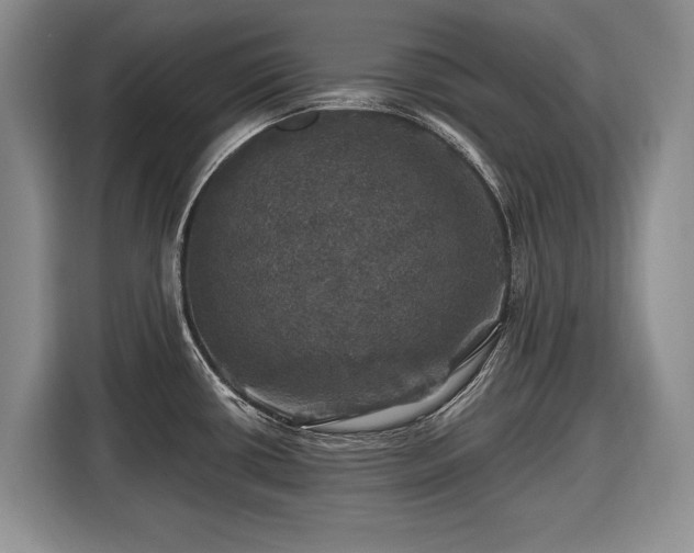 X0000116451434200912151251