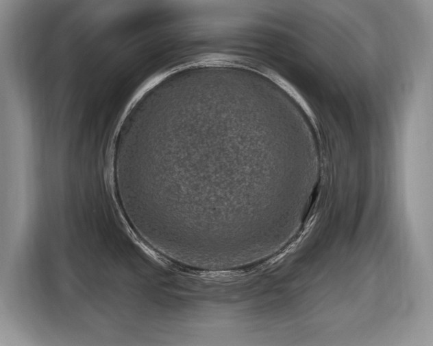 X0000116451437200912151251