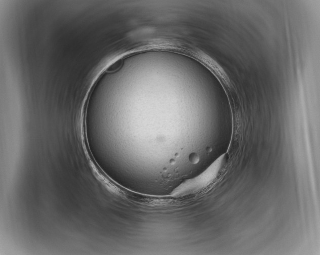 X0000116451439200912151251