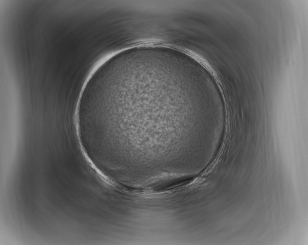 X0000116451440200912151251