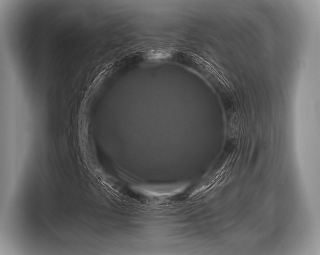 X0000116451441200912151251