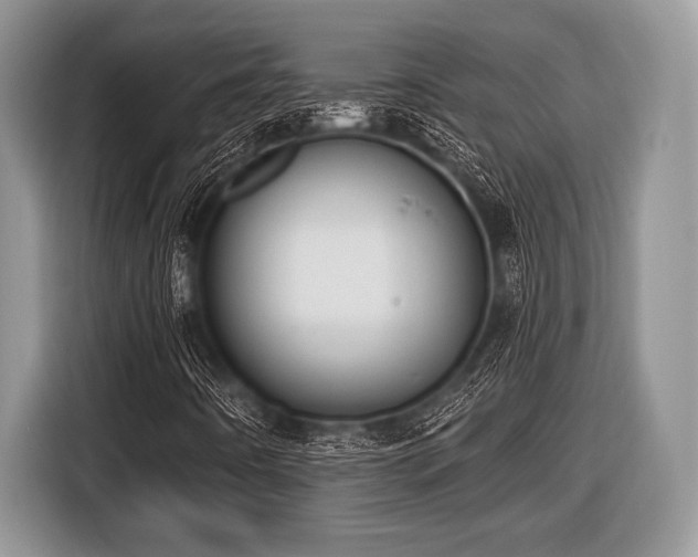 X0000116451442200912151251