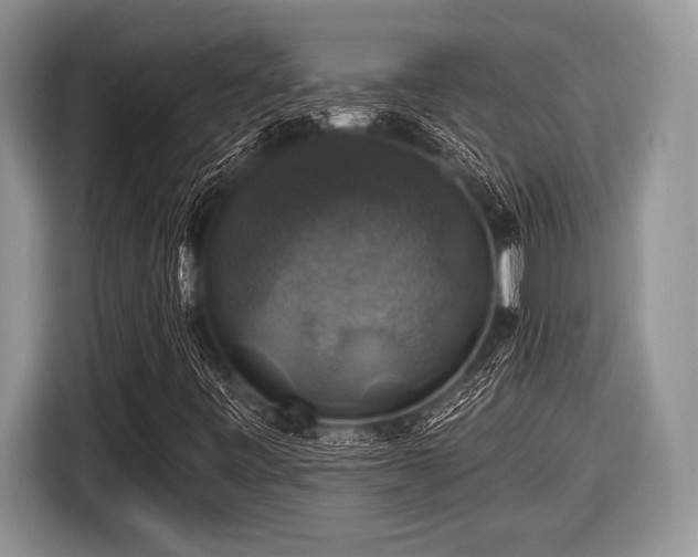 X0000116451443200912151250