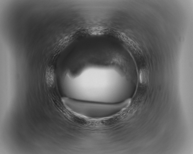 X0000116451444200912151250