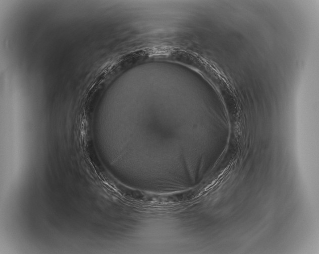 X0000116451445200912151250