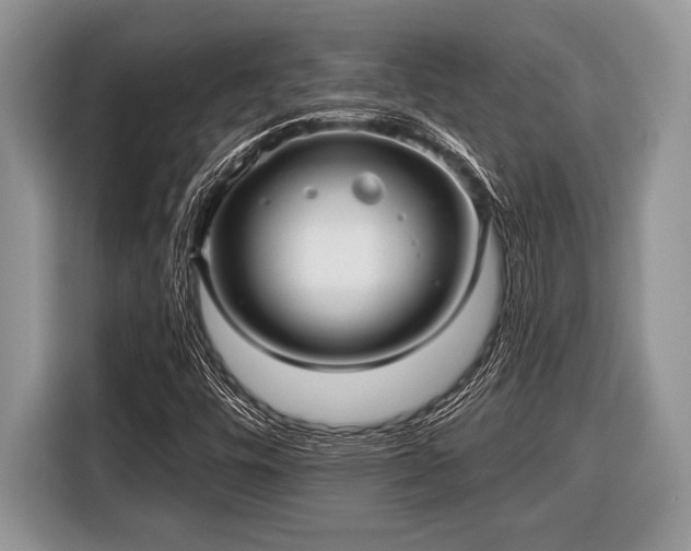 X0000116451448200912151250