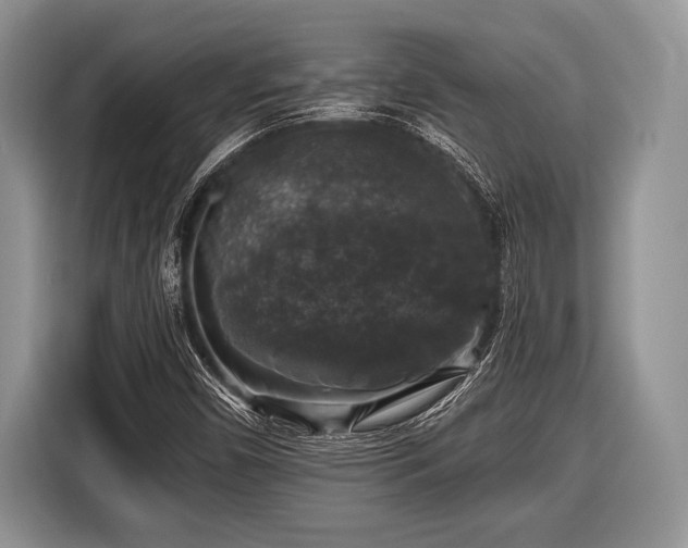 X0000116451450200912151250