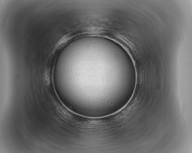 X0000116451451200912151250