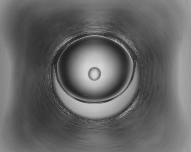 X0000116451453200912151250