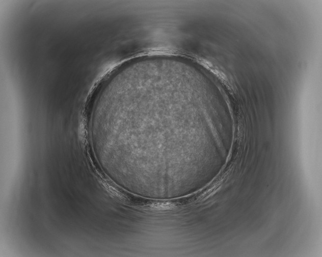 X0000116451454200912151250