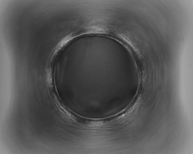 X0000116451455200912151250
