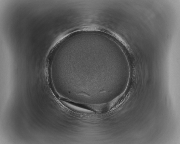 X0000116451456200912151250