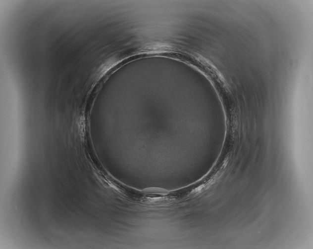 X0000116451457200912151250