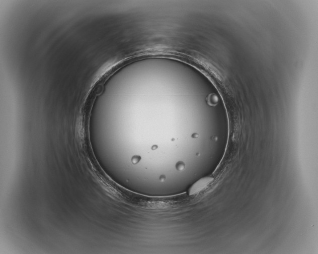 X0000116451458200912151250
