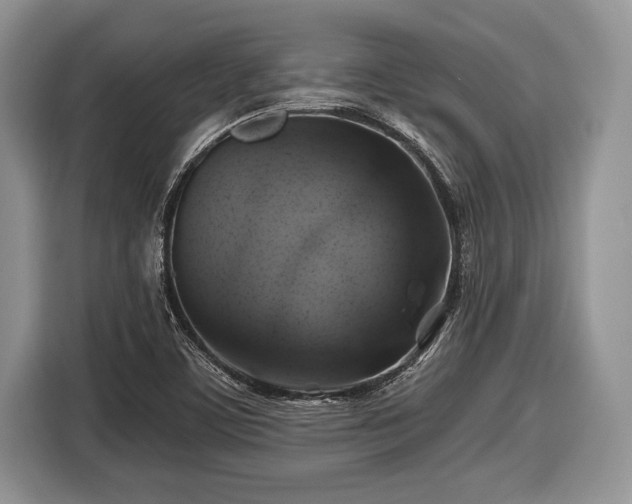 X0000116451459200912151250