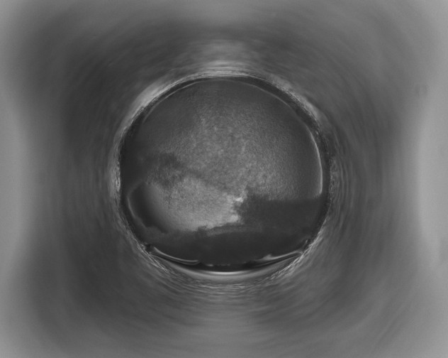 X0000116451461200912151250