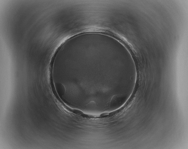X0000116451463200912151250